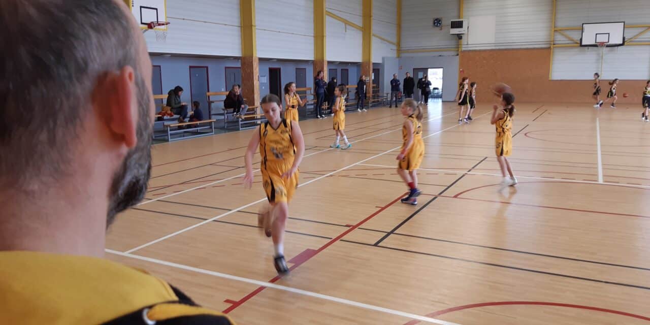 Match U13F le 14/01 contre Veauche